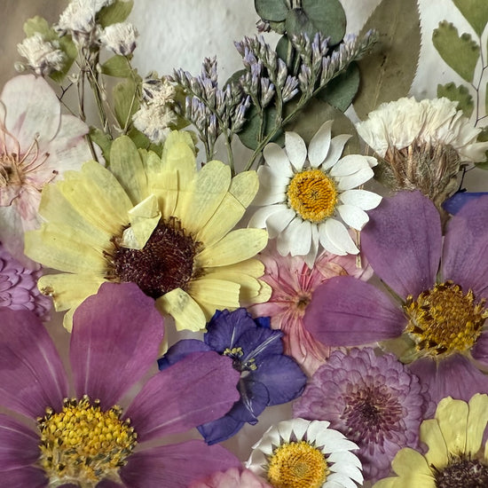 Šepot deště v květinkách