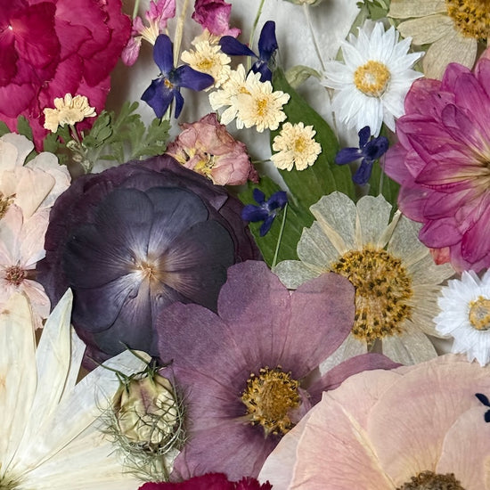 Vejdi do říše divů