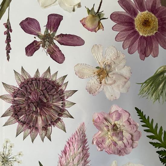 Zelená v růžcích