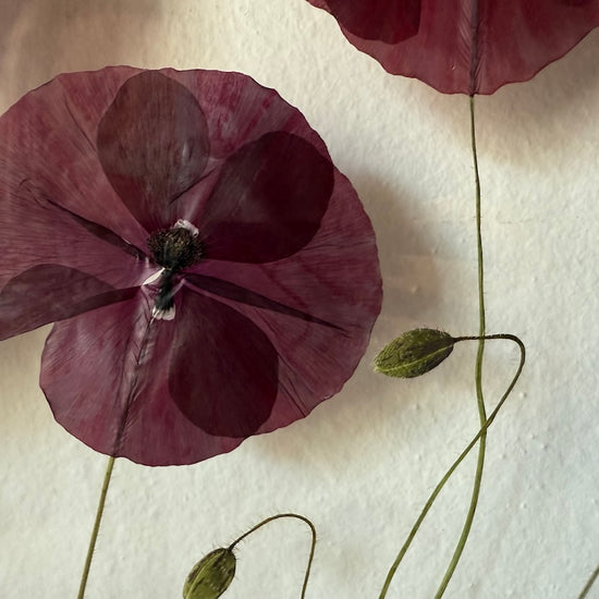 Za chaloupkou v květu