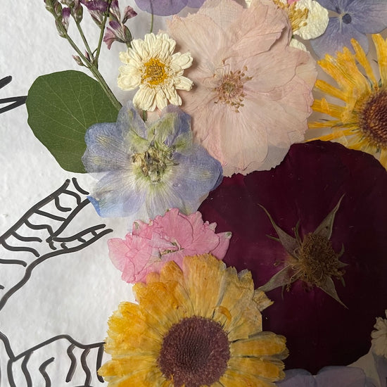 Baobaby Malého prince