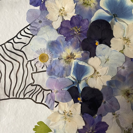 Baobaby rozkvétají