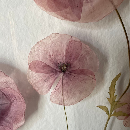 Tanečníci na plese