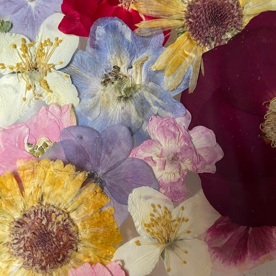 S kočičí elegancí