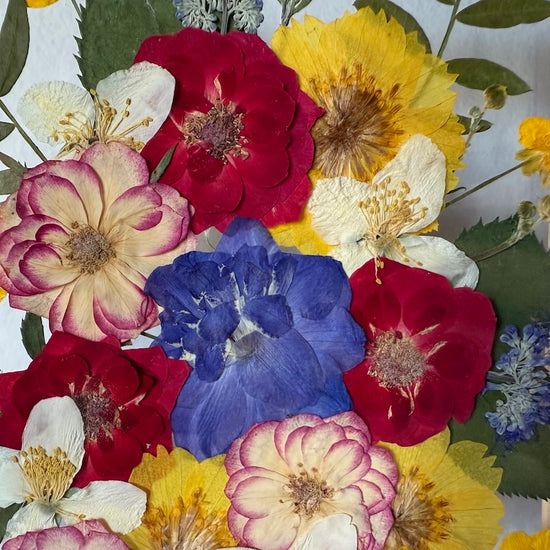 Barevná hříčka květů