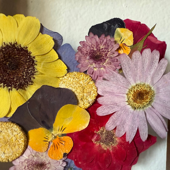 Kde láska kvete barevně