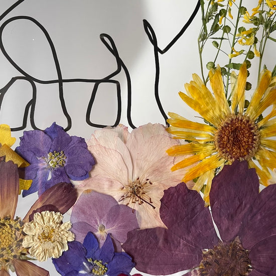 Květosaurus barevný