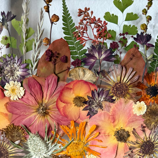 Sedět a dívat se do květinového ohně