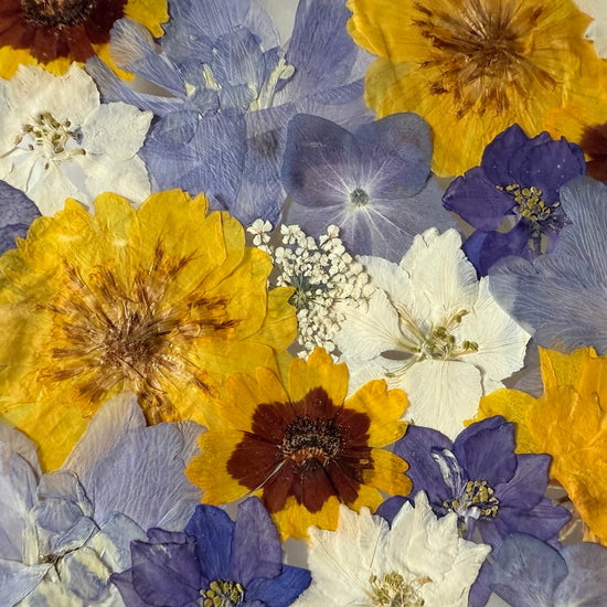 Milovat se a být v objetí