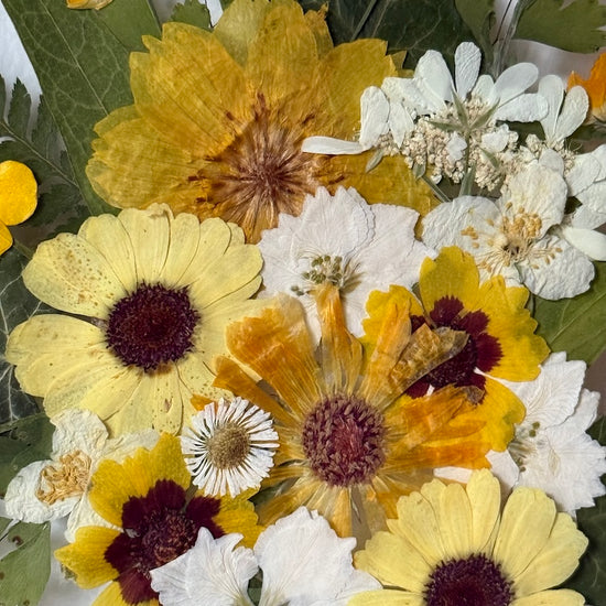 Kouzlem vykvetlé lesní květy