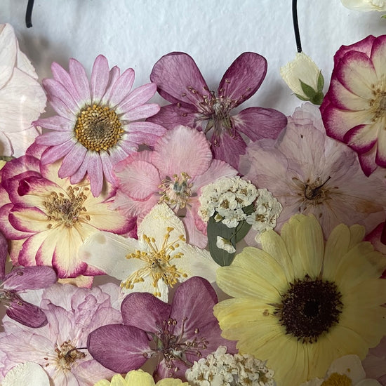 Toulky mezi květinkami