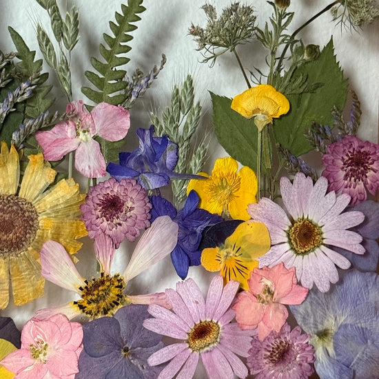 Klid na bohaté louce