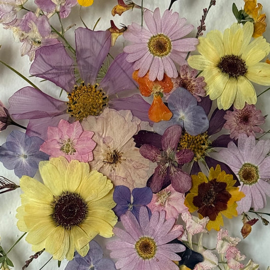 Projasním tvůj den