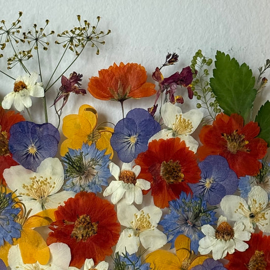 Nebe plné hřejivých barev