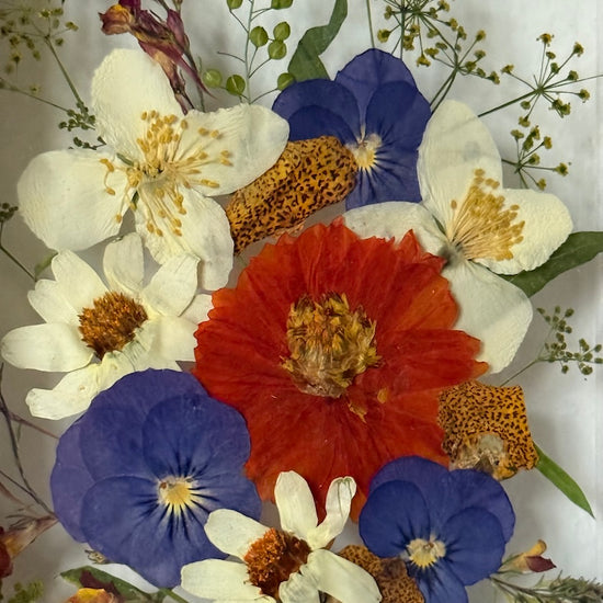 Probuzení do zimního rána