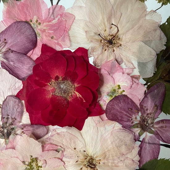 Něžný tanec se zázraky