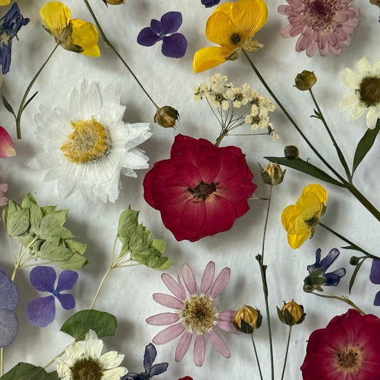 Maličkosti v podobě kvítečků