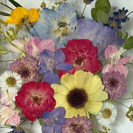 Levandule a barevné léto