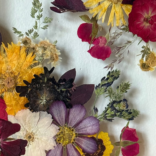 V proudu letních dní