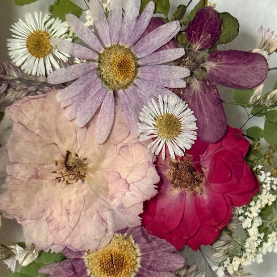 Ta jedna krásná vzpomínka