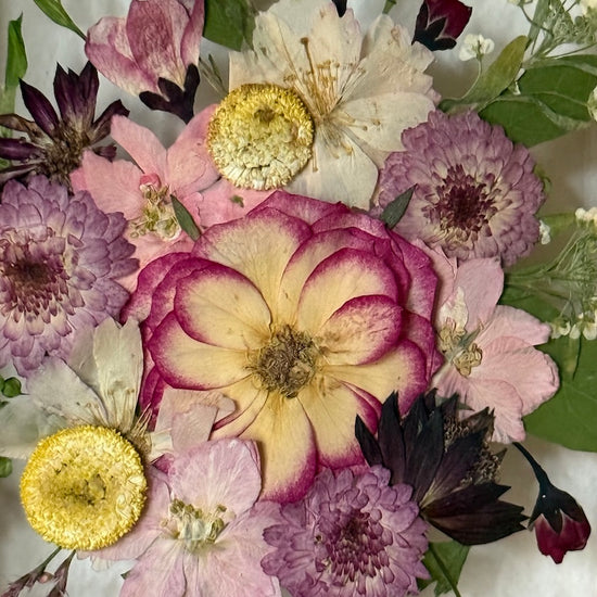 Nasbírané divokrásno