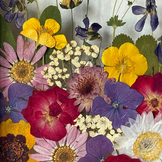 Příběhy loučky v bílém rámu