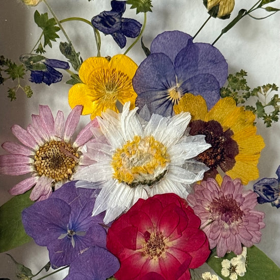 Pestrobarevné pentličky