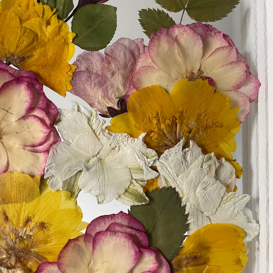 Zahrádka dýchající světlem