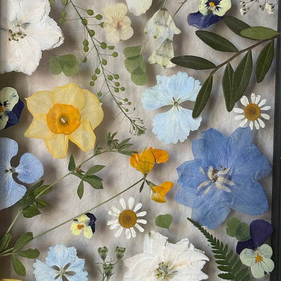 Střípky nebe v obraze