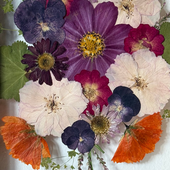 A je tu podzim v plné slávě