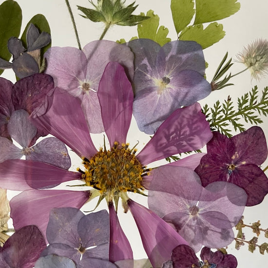 Když květy mluví v hádankách