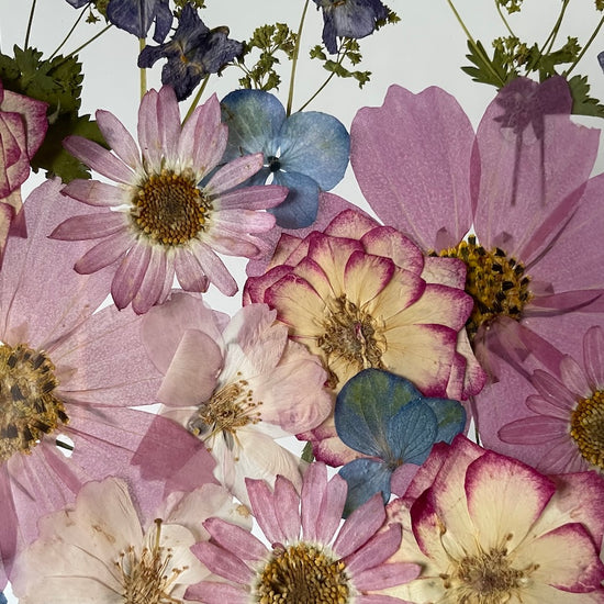 Květinová imaginace