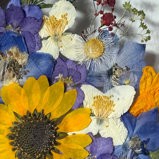 Cítím klid a radost