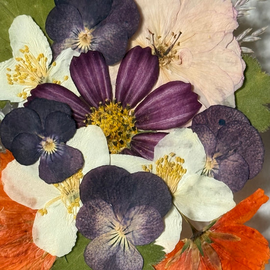 Celý svět je kolotoč