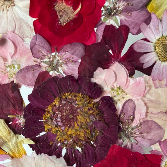 Dávné květinové příběhy