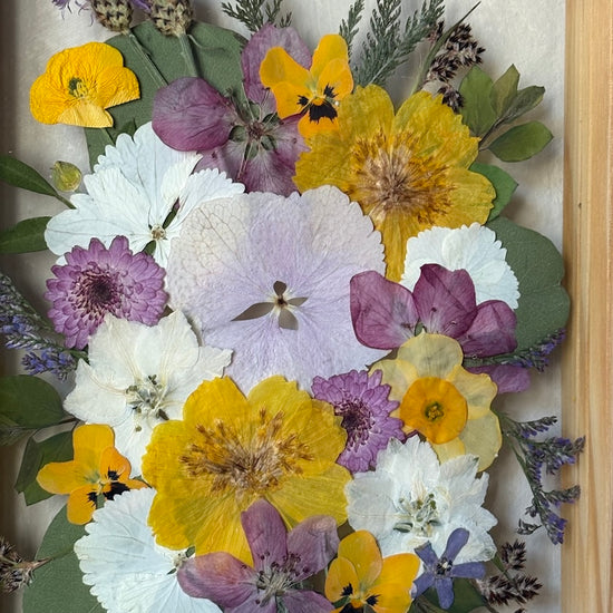 Jako svítání ve Veroně