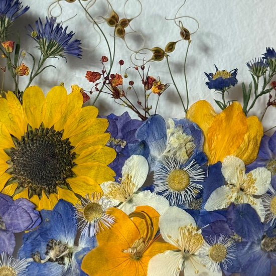 Když vychází slunce