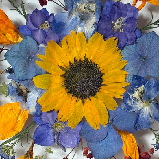 Toč se holka hopsa hejsa