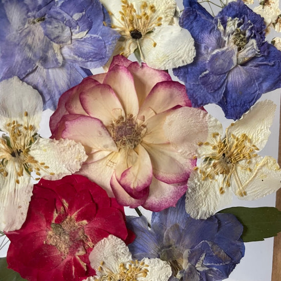 Jako roztočená sukně léta