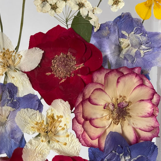 Okolo Hradce, v malé zahrádce