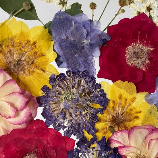 Rozkvetlé radůstky