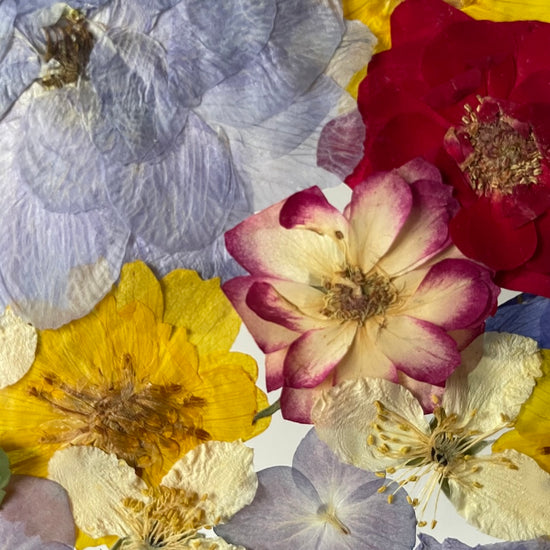 Takový folklorní obrázek