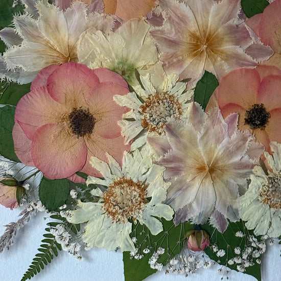 Kde tulipány mají svou vlastní podívanou