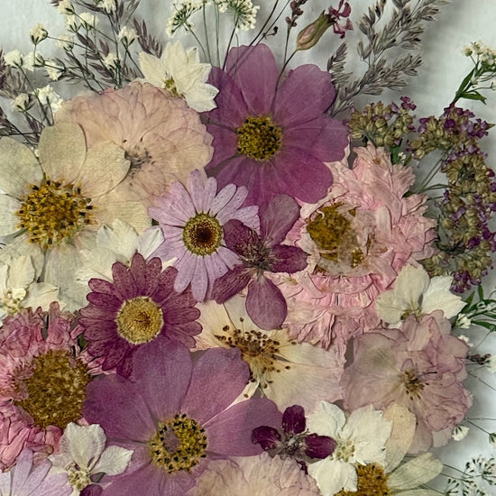 Nejněžnější něha