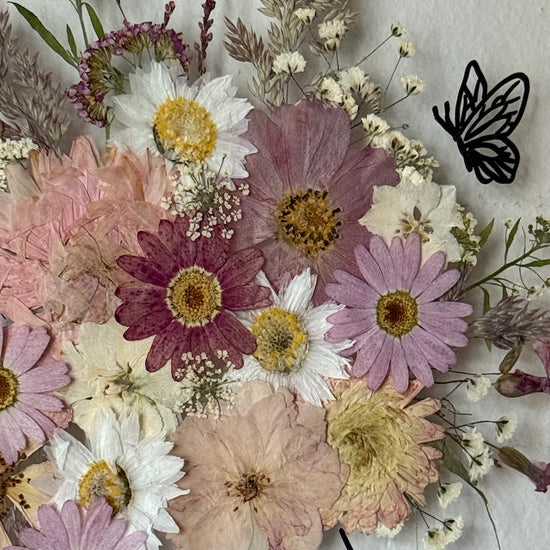 Krásno v mé hlavě