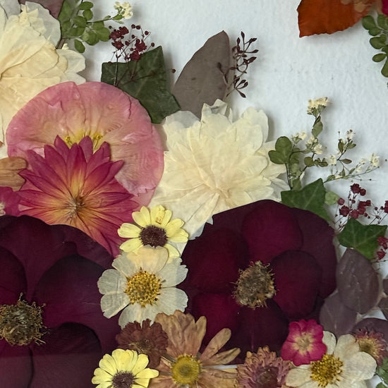 Pohledy do květů podzimu