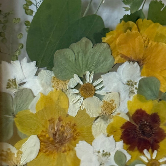 Pozdní východ slunce