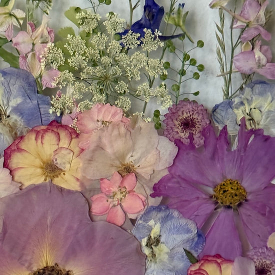 Snové zahrady večerního nebe