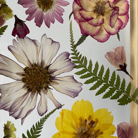 Pohlazení od kapradinek