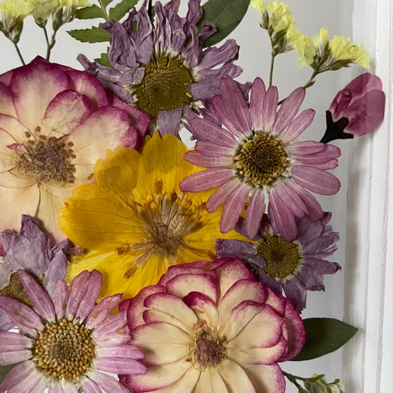 Roztomilá radůstka